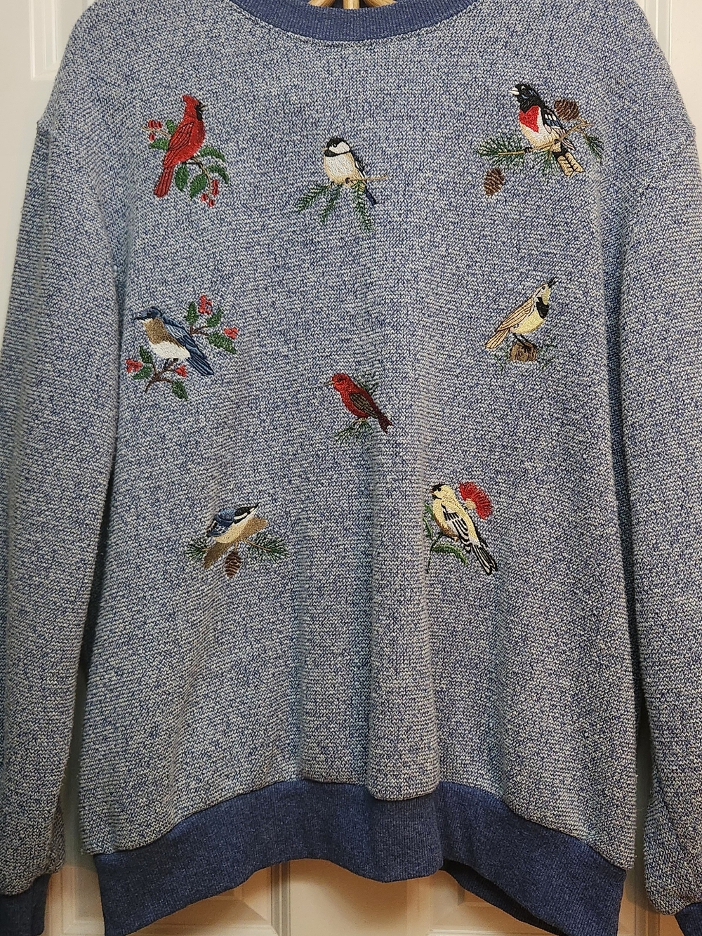 Embroidered COLORFUL Bird's Crewneck Sweat Shirt in Light Blue. So Cute! XL.